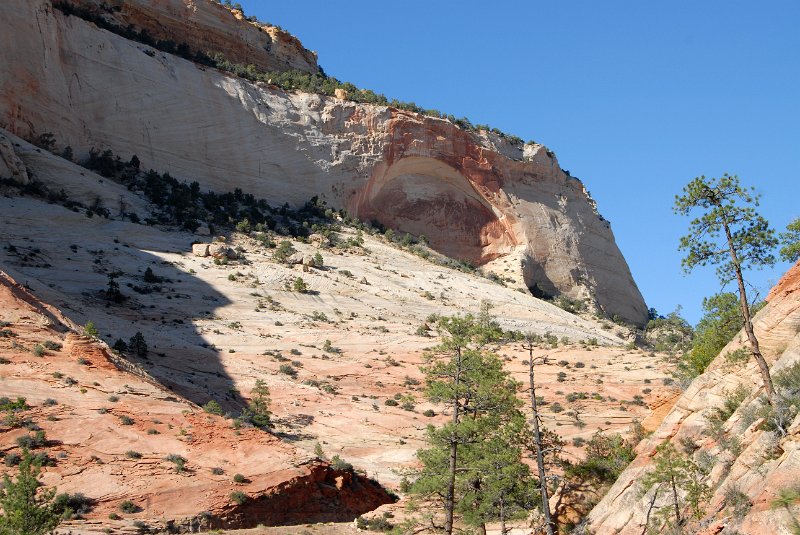 2011-07-13_Zion Canyon-Tag18_295.jpg